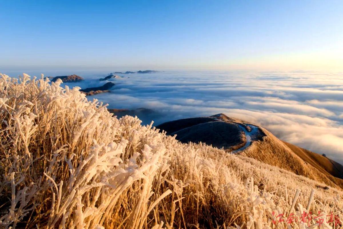 萍鄉(xiāng)武功山：霧凇云海，銀裝素裹